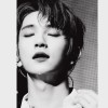 hongie