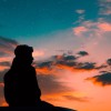 rasyad_XR29