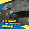 berhausenpangari