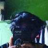ashraf