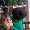 Jendi Wirawan