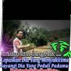 Ferdi
