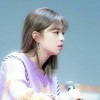 定延的向日葵👑