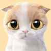 no_name