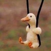 rabbityan