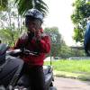 Adut