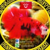 AdeybettA_84