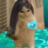 IM Badri