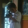 kucing
