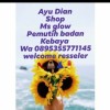 Gusti Ayu Dian