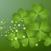Reiko Wong🍀
