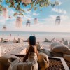 Bee Bee bay bay