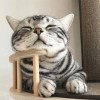 葉藝明