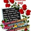 Andre Elang