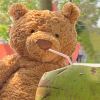 🐻熊DOY