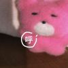 🐻熊DOY