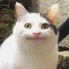 好運來