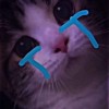 𝗙𝗔𝗛
