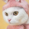 อย่ากลัวกาล จากลา