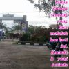 Hendryaman