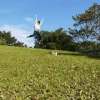 Saiwong Kelvin