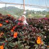 Yusrina Yusri