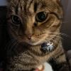 Zoe