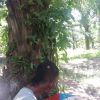 Rahim Omar