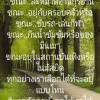 ร้กจริง หวัง แต่ง