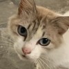玮
