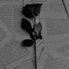 ♡...뷔° 
