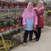 Nor Maisarah
