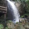 Salimun Olok