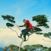 Muhammad Firmansyah