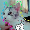ล็อกอิน เกม