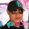 วีระพงษ์ เหลือมพล