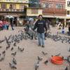 Roel