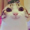 แล้วชื่อกาน' น'น'น'น มันผิดรึไง