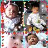 ส้มส้ม ส้ม