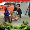 DieN's Din