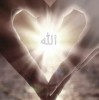 AL - Amin