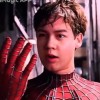 🕸🕷