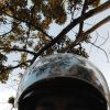 Arif