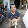 Elang Langit Biru Kebebasan