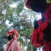 Sinta