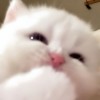 janey 