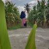 Endang Novia Ningsih