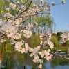 linlai