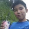 Petpet