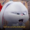 Pu L Ng